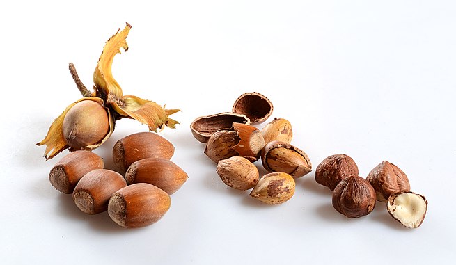 hazelnut-vs-chestnut-what-s-the-difference-main-difference