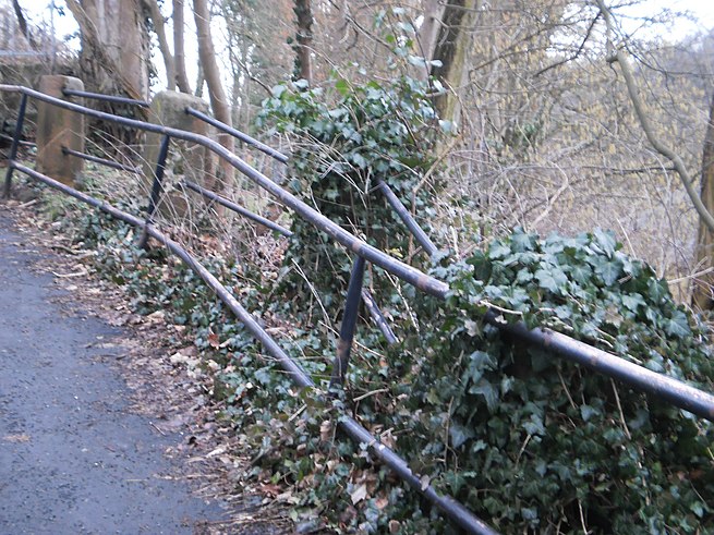 655px-redundant_second_railing_additional_to_historic_unstable_fence_in_marburg_above_wilhelm-roser-strasse2c_grassenberg_2016-03-05