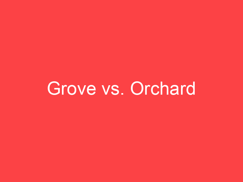 Grove Vs Orchard What s The Difference Main Difference