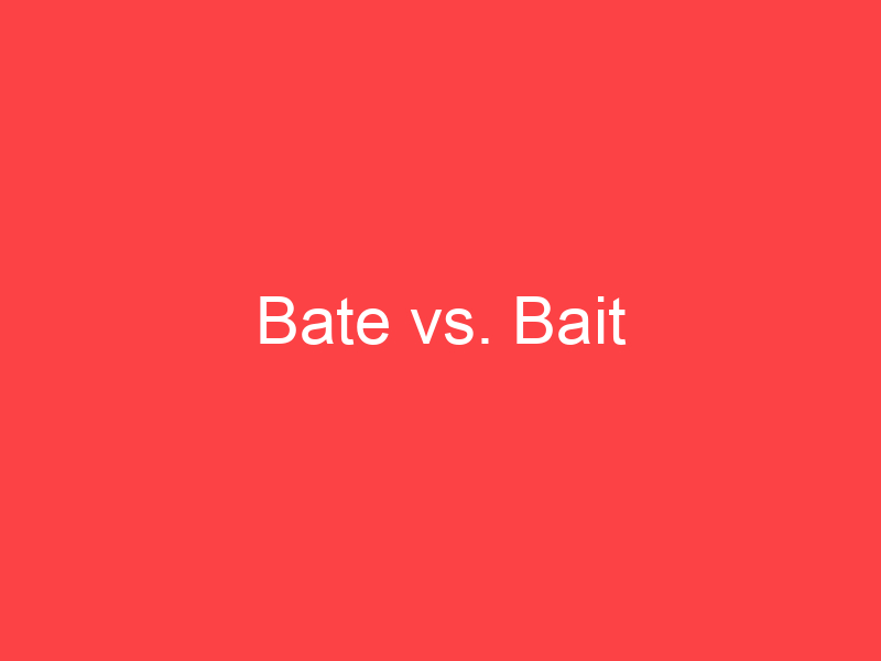 bate-vs-bait-what-s-the-difference-main-difference