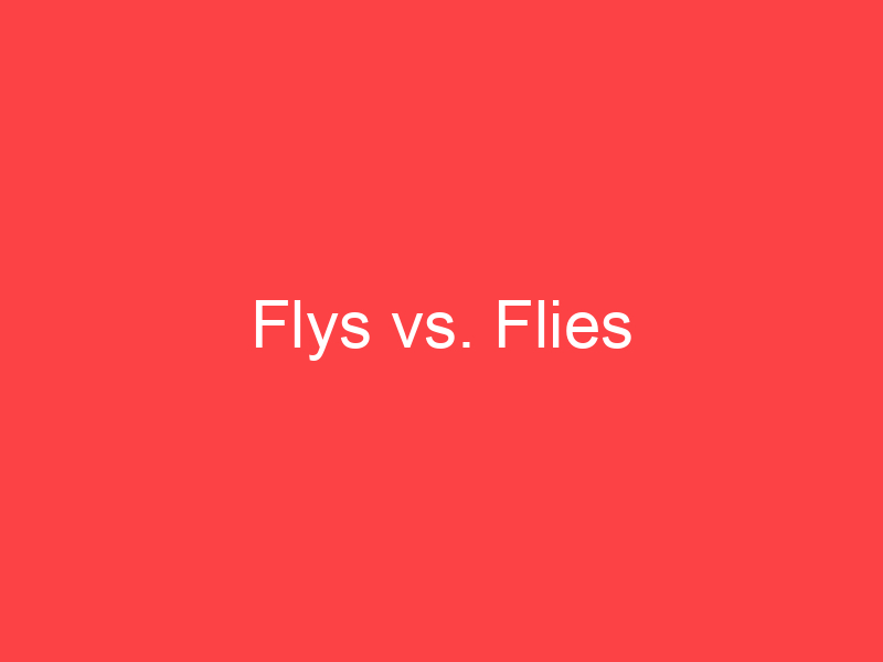 Flys Vs Flies What S The Difference Main Difference